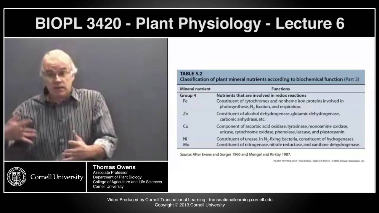 BIOPL3420 - Plant Physiology - Lecture 6