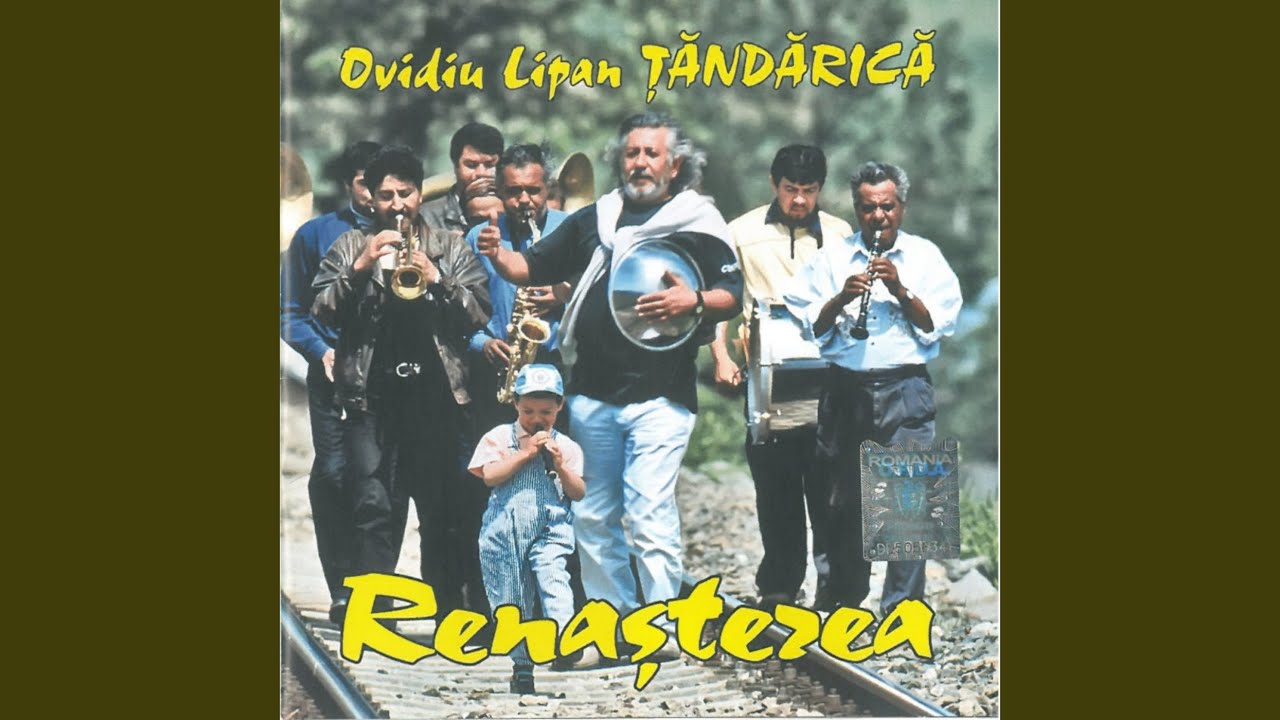 Renasterea