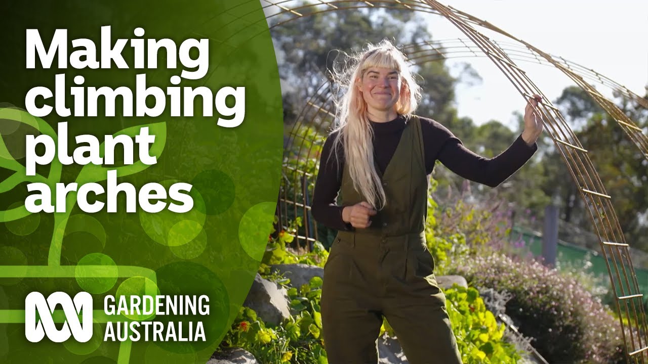 Making movable arbours to make use of vertical space | DIY Garden Projects | Gardening Australia
