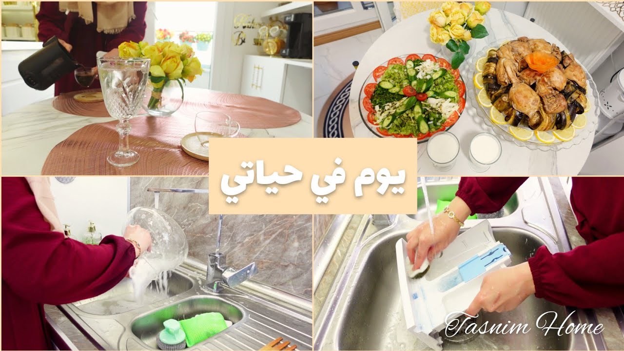 على أساس يوم عطلة بس نصه شغل 😁😴 المقلوبة على طريقتي ، ألطف حديقة حيوانات باسطنبول