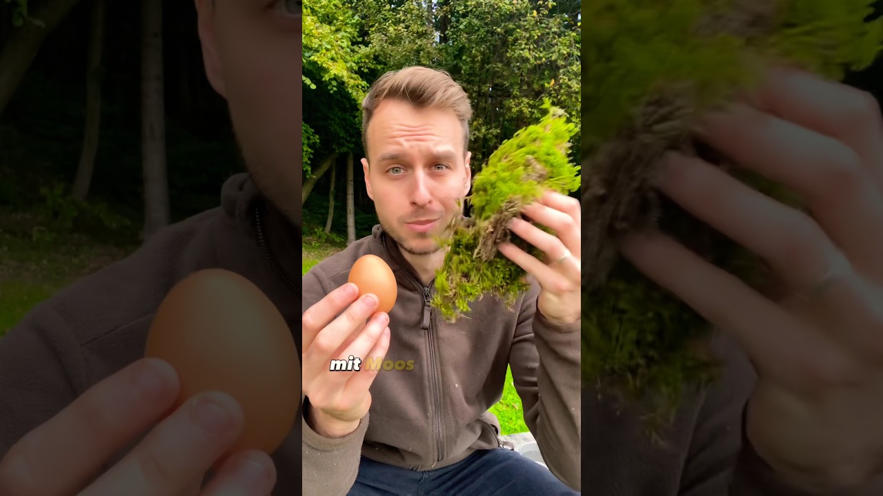 Mit Moos ein Ei kochen?😱🥚🔥#bushcraft #gutzuwissen #lagerfeuer #kochen #survival  #ei #natur