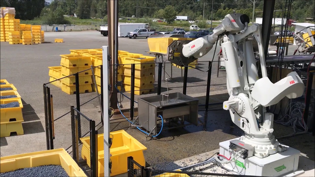 Byron Automation: Robotic Berry Bin Dumping