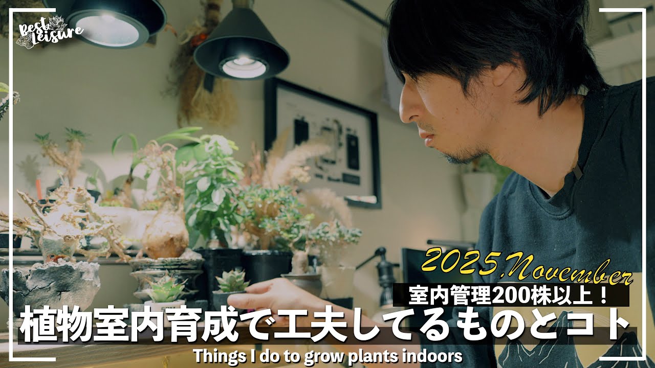 【植物育成環境紹介2】植物室内育成で工夫してるモノとコト｜ビザールプランツ｜珍奇植物｜観葉植物｜園芸グッズ｜園芸ギア｜Amazonセール