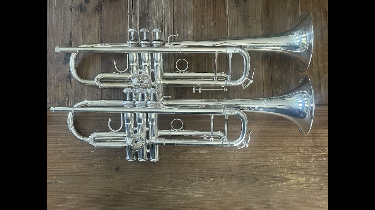 Bach Strad 19043 V. Shires Q10