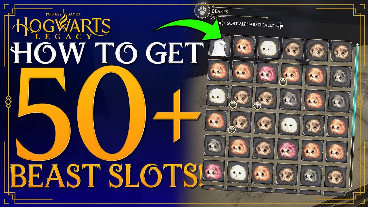 Hogwarts Legacy - How To Get 50+ Beast Inventory Slots Guide / How To Get More Inventory Slots