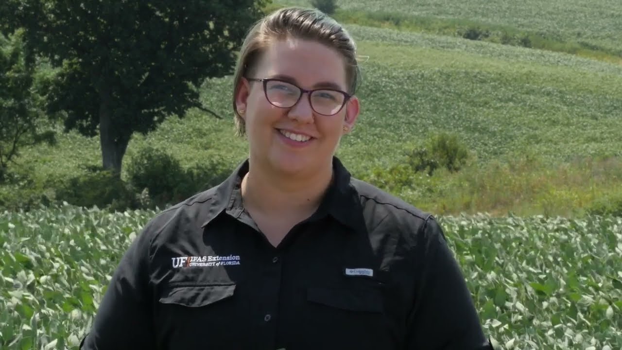 Understanding the Effects of Sulfur and Nitrogen Applications on Soybean Yield and Profitability