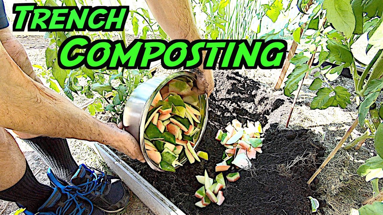 Easy Composting | Trench Composting & Propagating Tomato Plant Cuttings