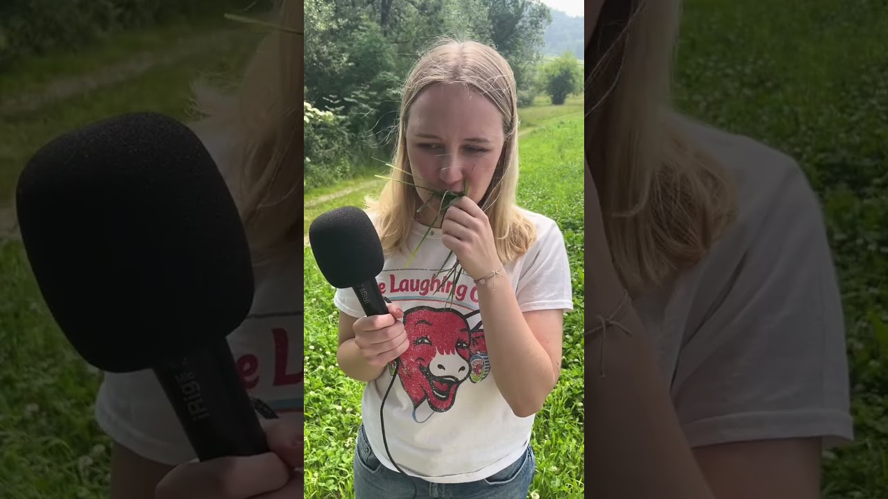 Beliebtester Kuhname - Nora?