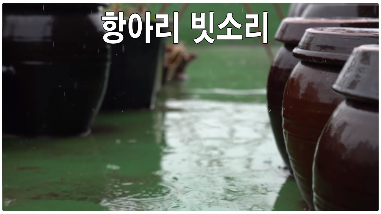 4k rain sounds video - gentle rain sounds