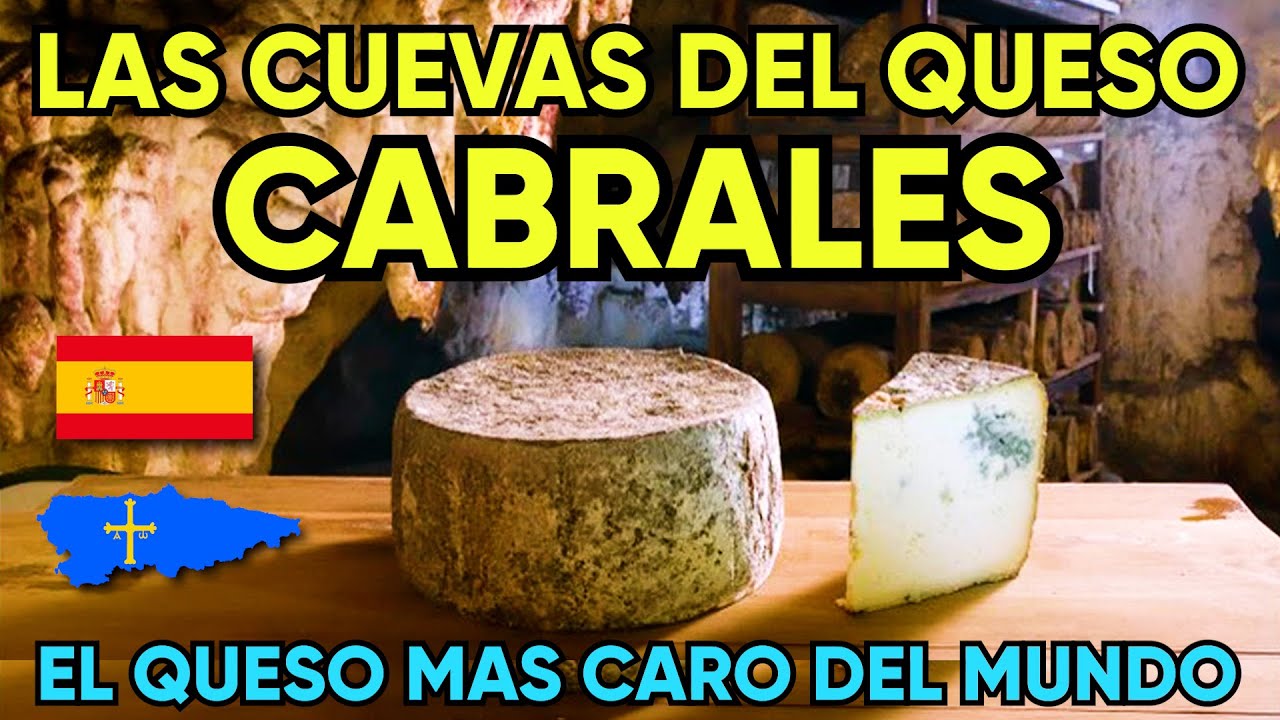 [EL QUESO MAS CARO DEL MUNDO] Así MADURAN en CUEVAS el queso de CABRALES, FUNDACION CABRALES, España