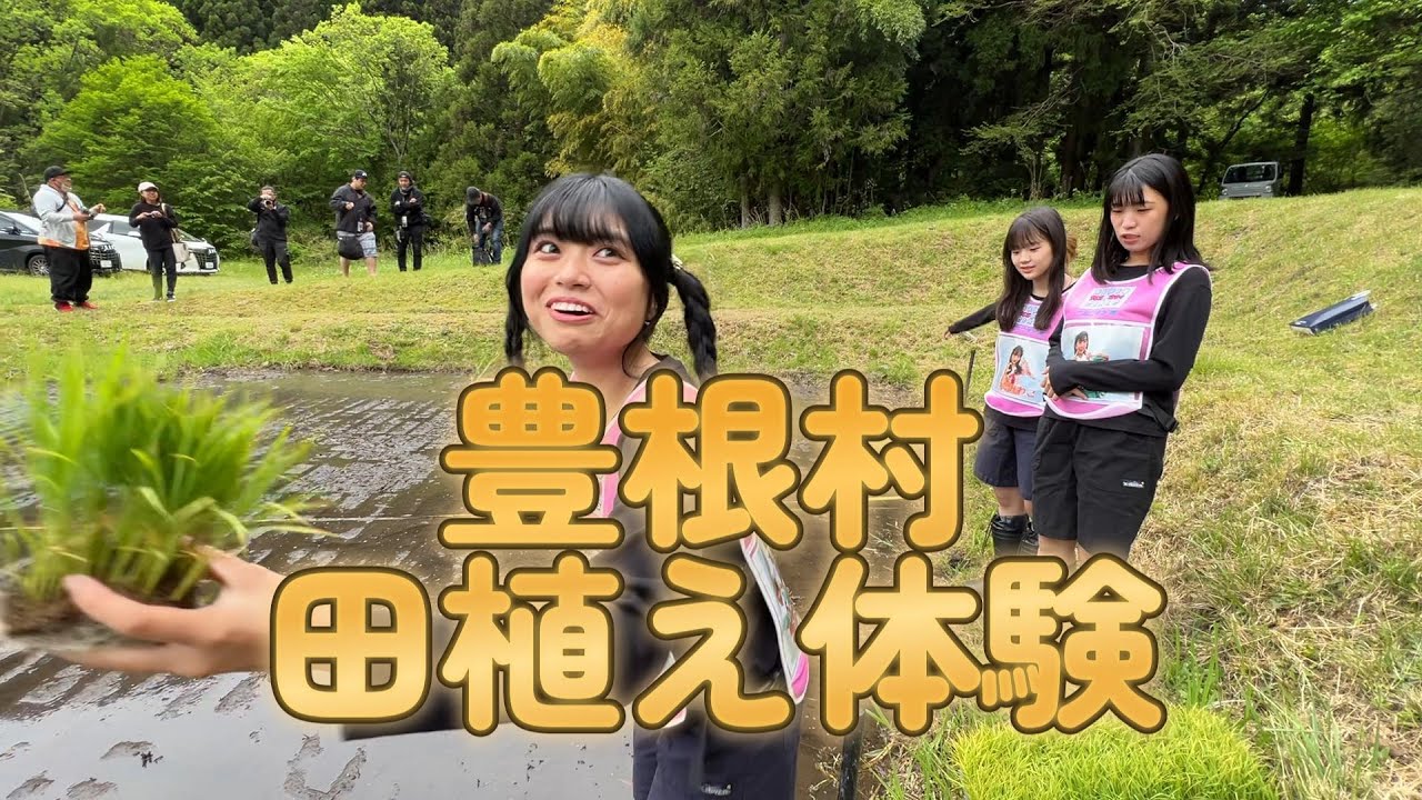 田植え体験