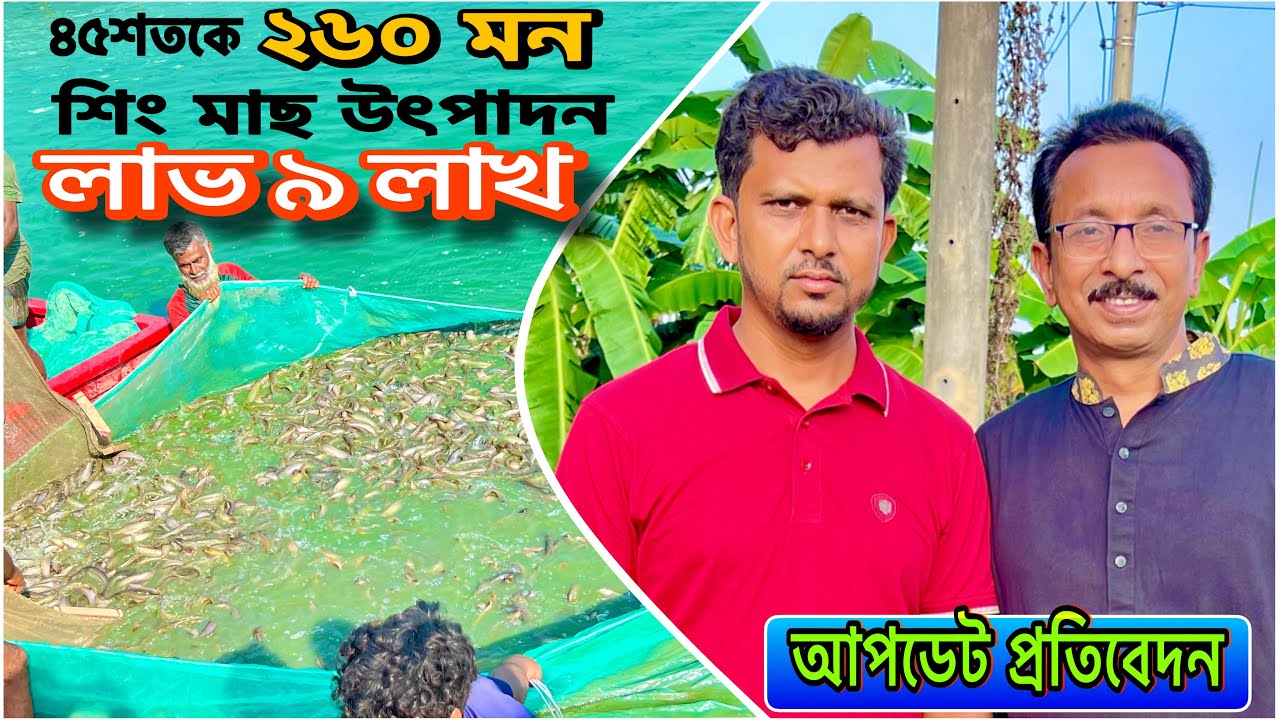 ৪৫শতকে শিং মাছ চাষে লাভ ৯ লাখ, উৎপাদন ২৬০ মন..।। Catfish bd