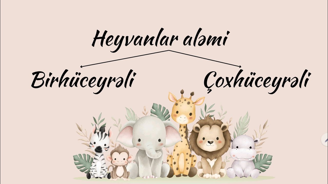 Zoologiya | Heyvanlar aləmi | Birhüceyrəlilər | Tam mövzu izahı| 0504632292