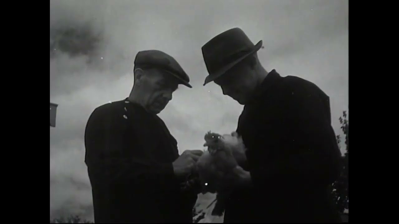 Jeugdhulp in de Landbouw (1941)
