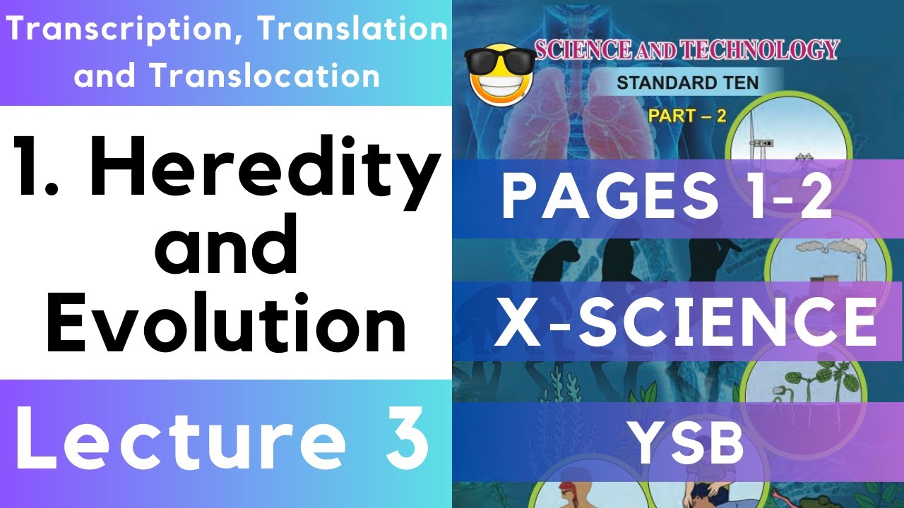 Heredity and Evolution 10th Transcription, Translation and Translocation Maharashtra Board Science X