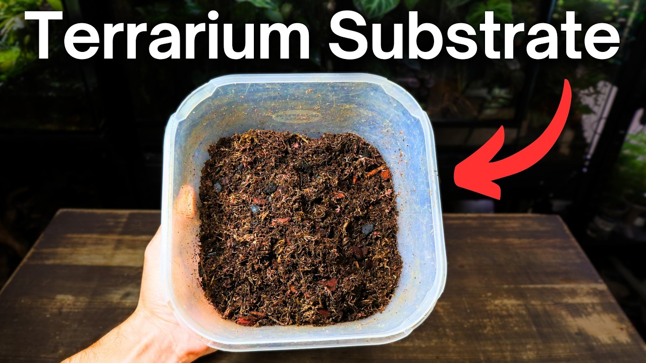 The BEST Substrate Mix For Terrariums - Step By Step Tutorial