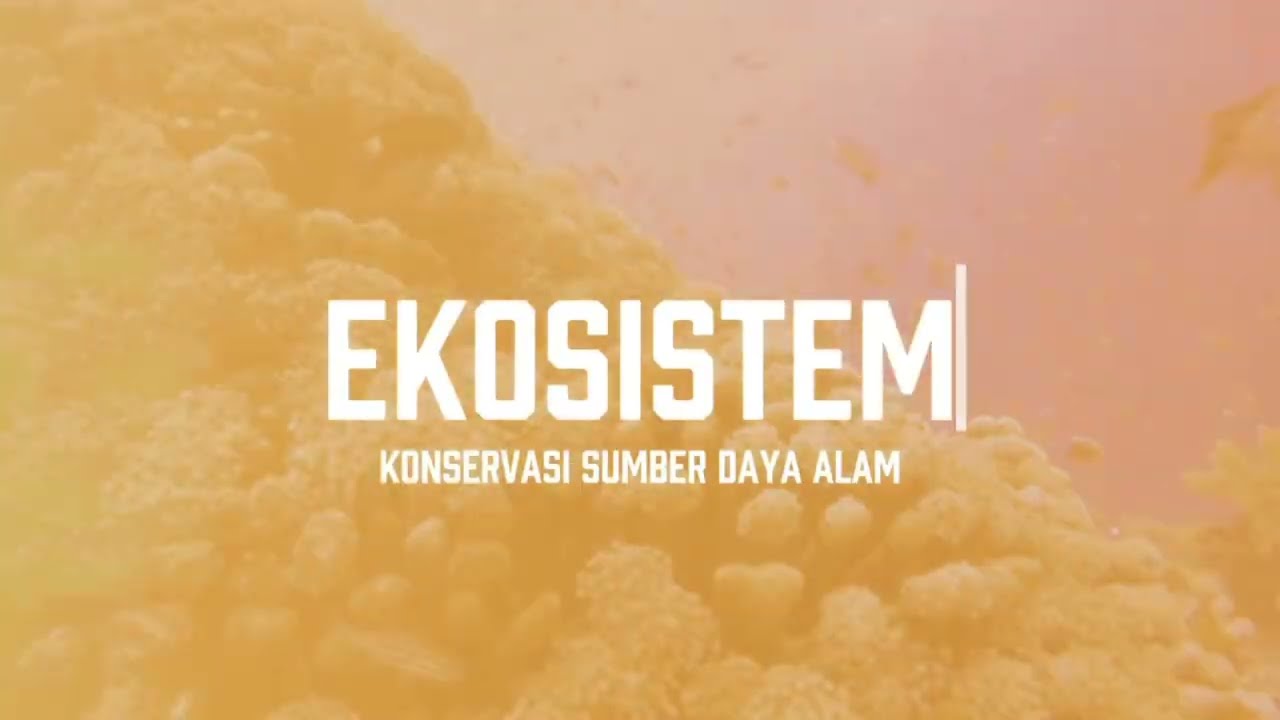 Ruang Lingkup Konservasi SDA dan Lingkungan