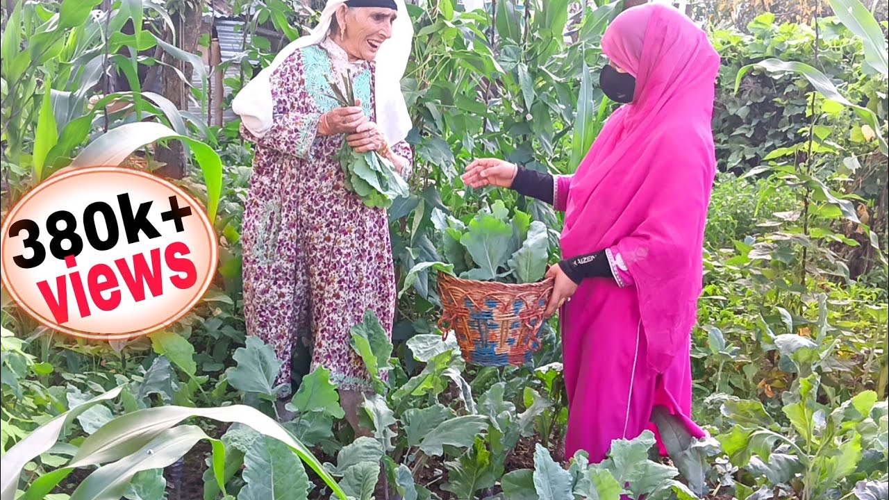 Batt Haakh Recipe Dekh Kr Dadi ko Rona Aaya | Kashmiri pandits ka Favourite | Collard greens