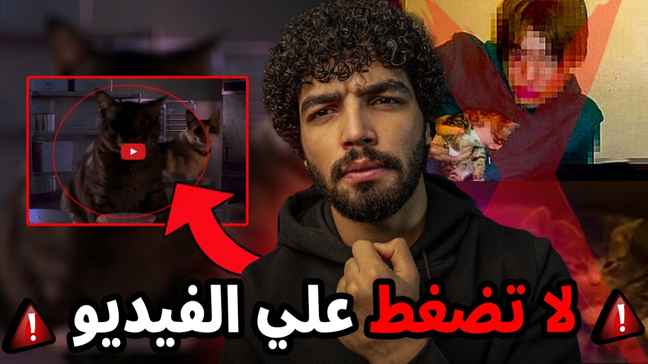 تسريبات مرعبة من الدارك ويب علي يوتيوب اذا ظهر لك مقطع القطط اهرب فورااا!!