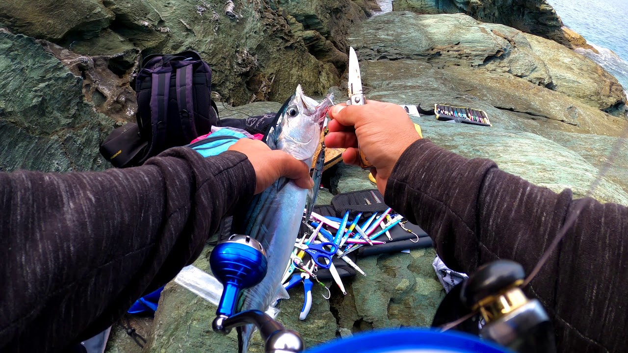 shore jigging Bonito & Barracuda