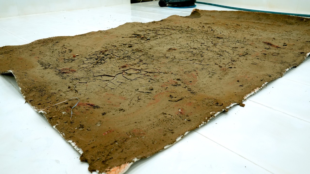 Abandoned After a Storm… This Carpet Turned into a Mud Sheet – Carpet Cleaning ASMR