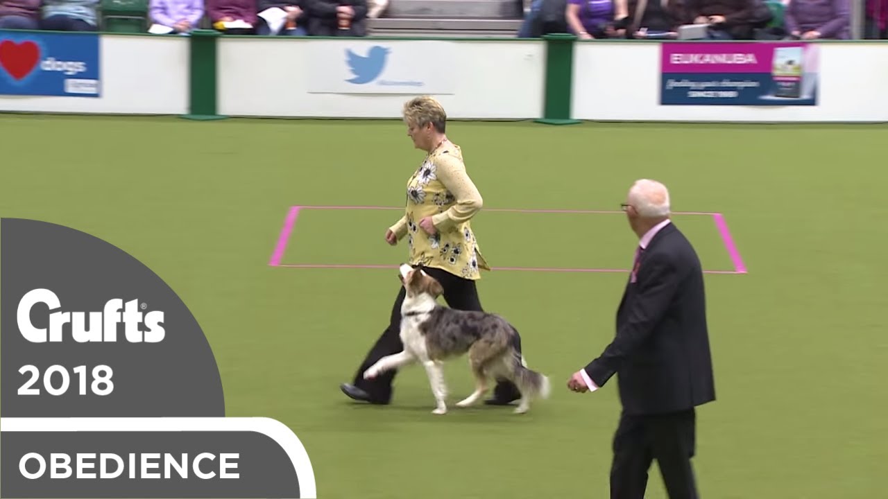 Obedience - Bitch Championship - Part 14 | Crufts 2018