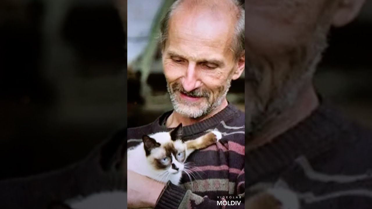 КАК ЖИТЬ ТОМУ, КОМУ ЗА - 60 ......