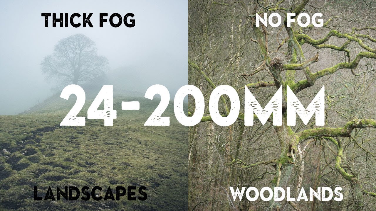 Taking out my new 24-200mm LENS in different conditions