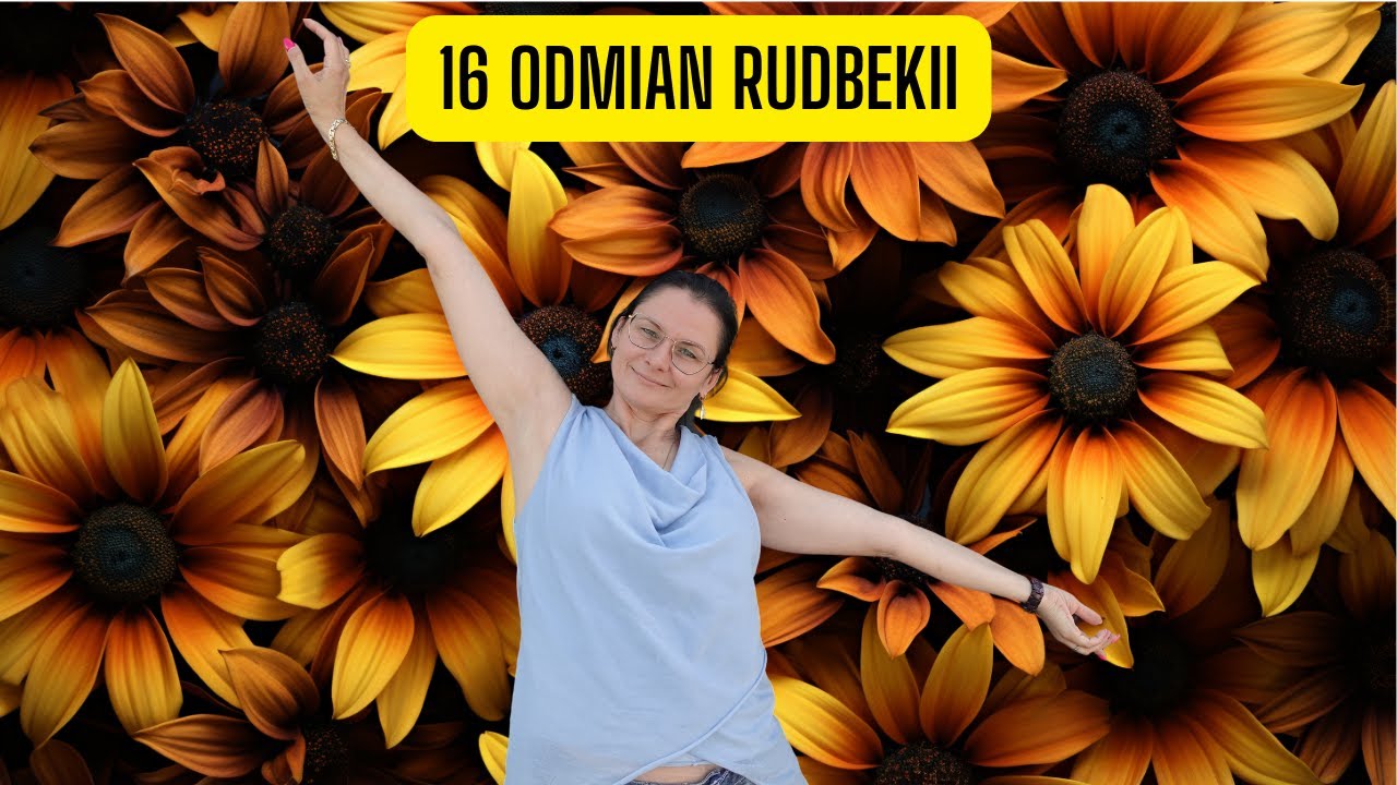 16 odmian Rudbekii w jednym filmie – która Ci się podoba? (Dla miłośników rudbekii)