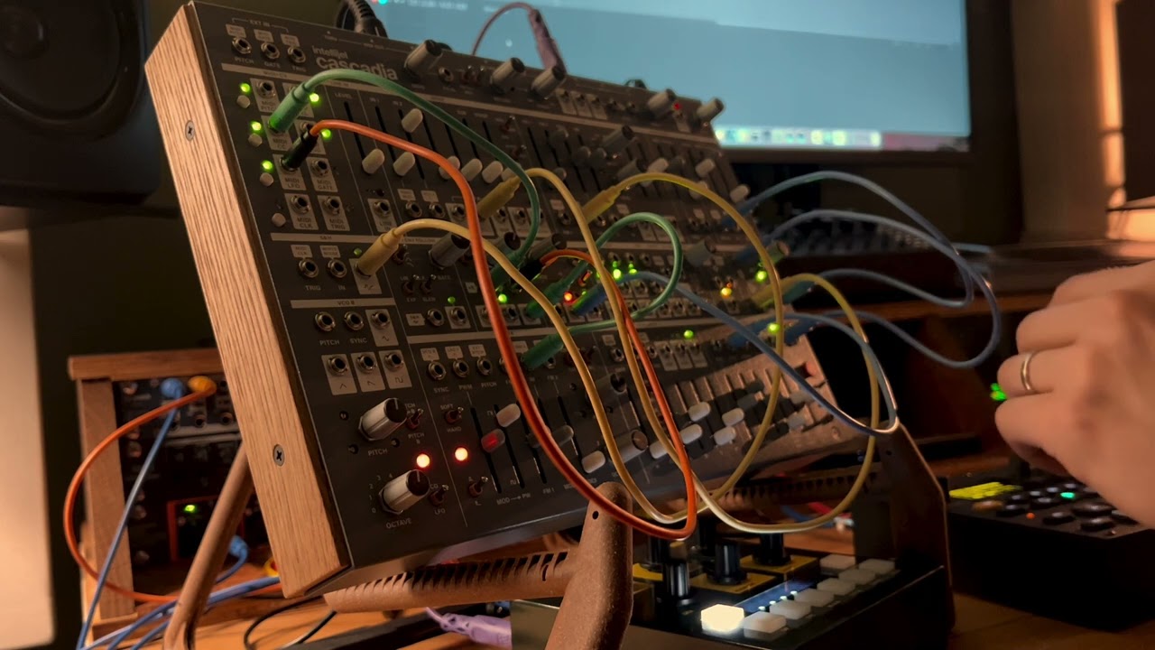 Groove Acid - Intellijel Cascadia, Elektron Digitakt, OTO Bam