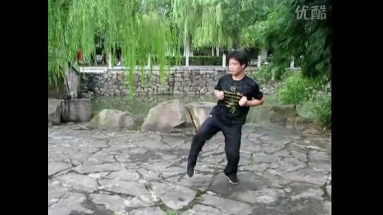Pan Nam Wing Chun 彭南咏春 - Core Forms