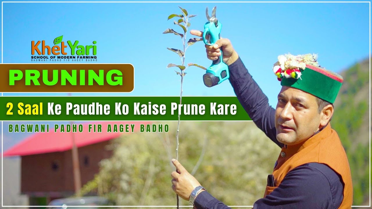 2 Saal Ke Seb Ke Paudhe Ki Perfect Pruning Tips | Plant Growth | Plant Pruning | Jittu Chauhan