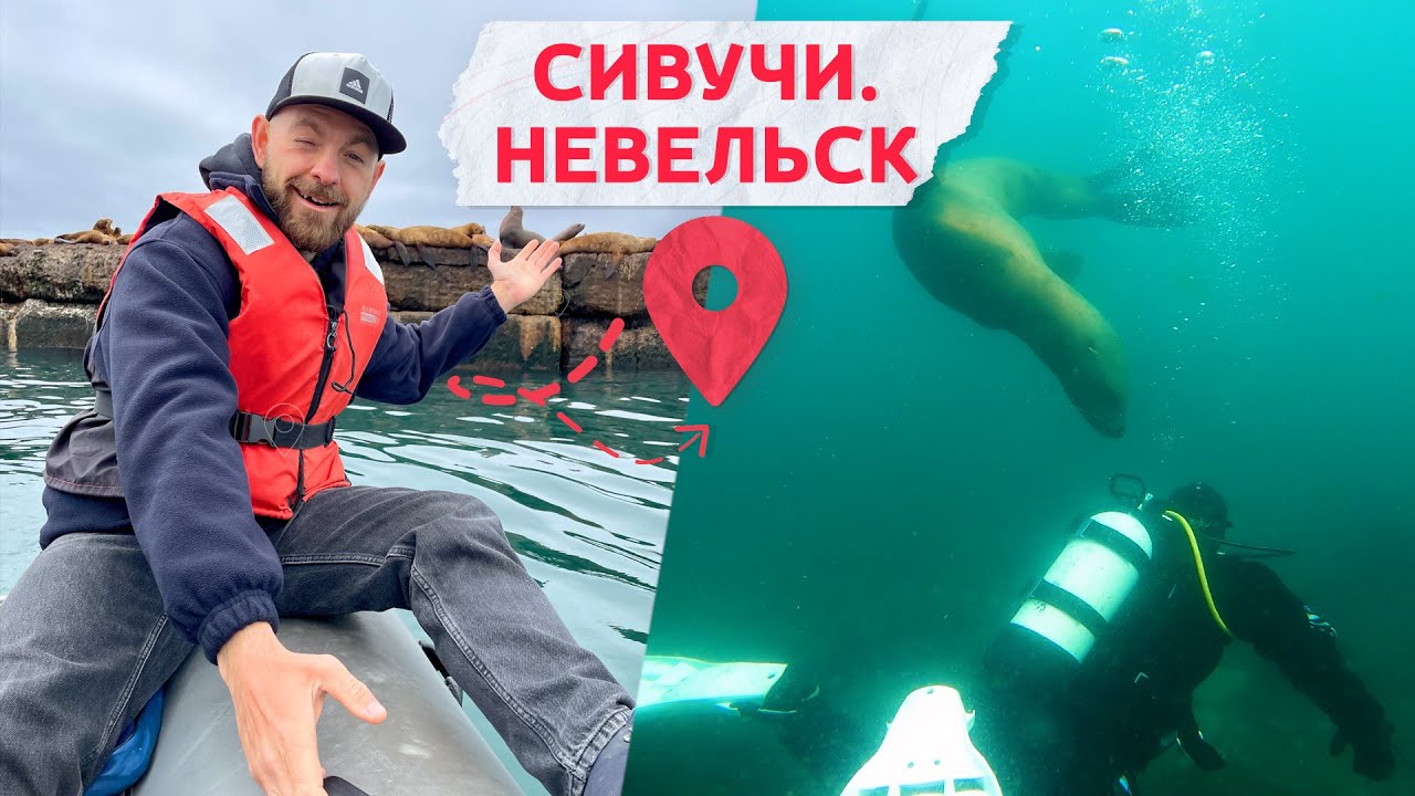Путешествие к сивучам в Невельск! Сахалинский дайвинг, прогулки на лодках и экскурсия в музей.
