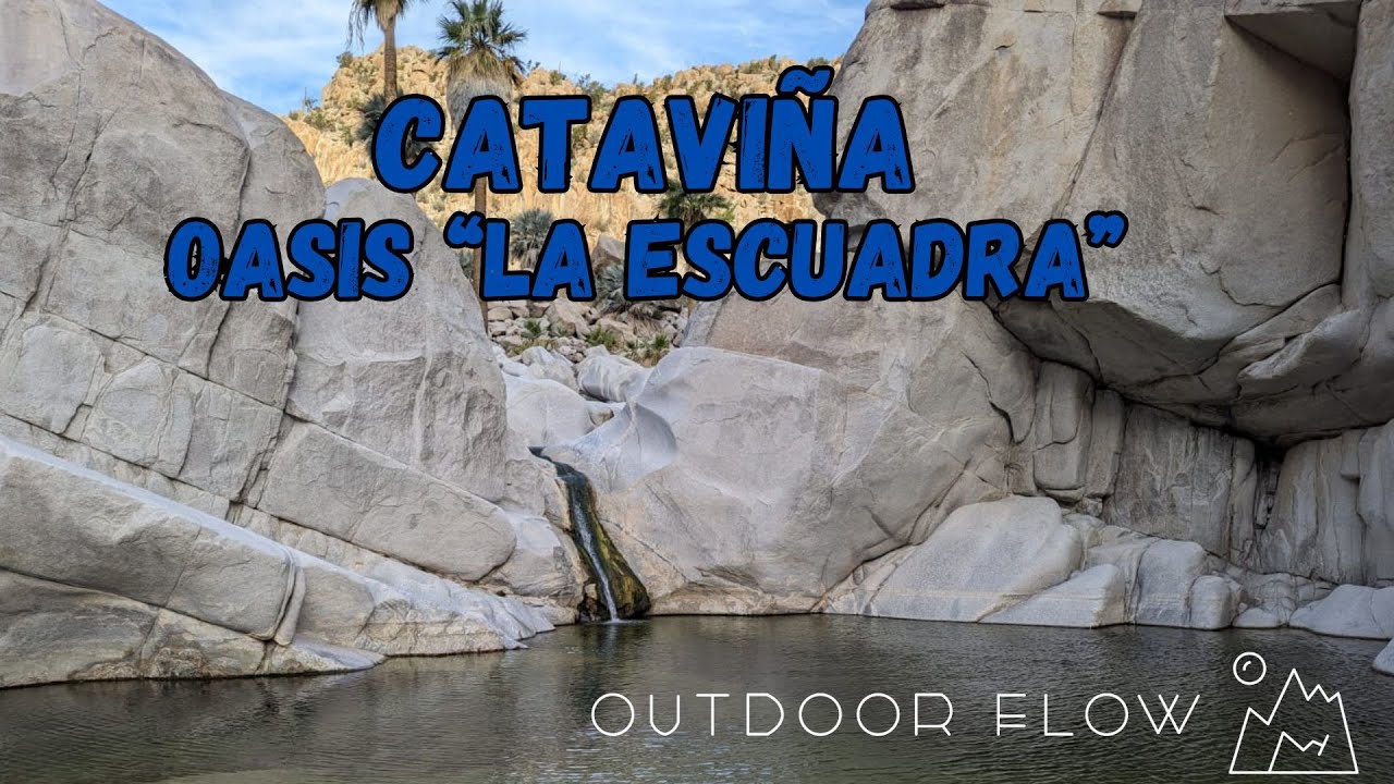 Cataviña Oasis La Escuadra (Cataviña-San Luis Gonzaga)