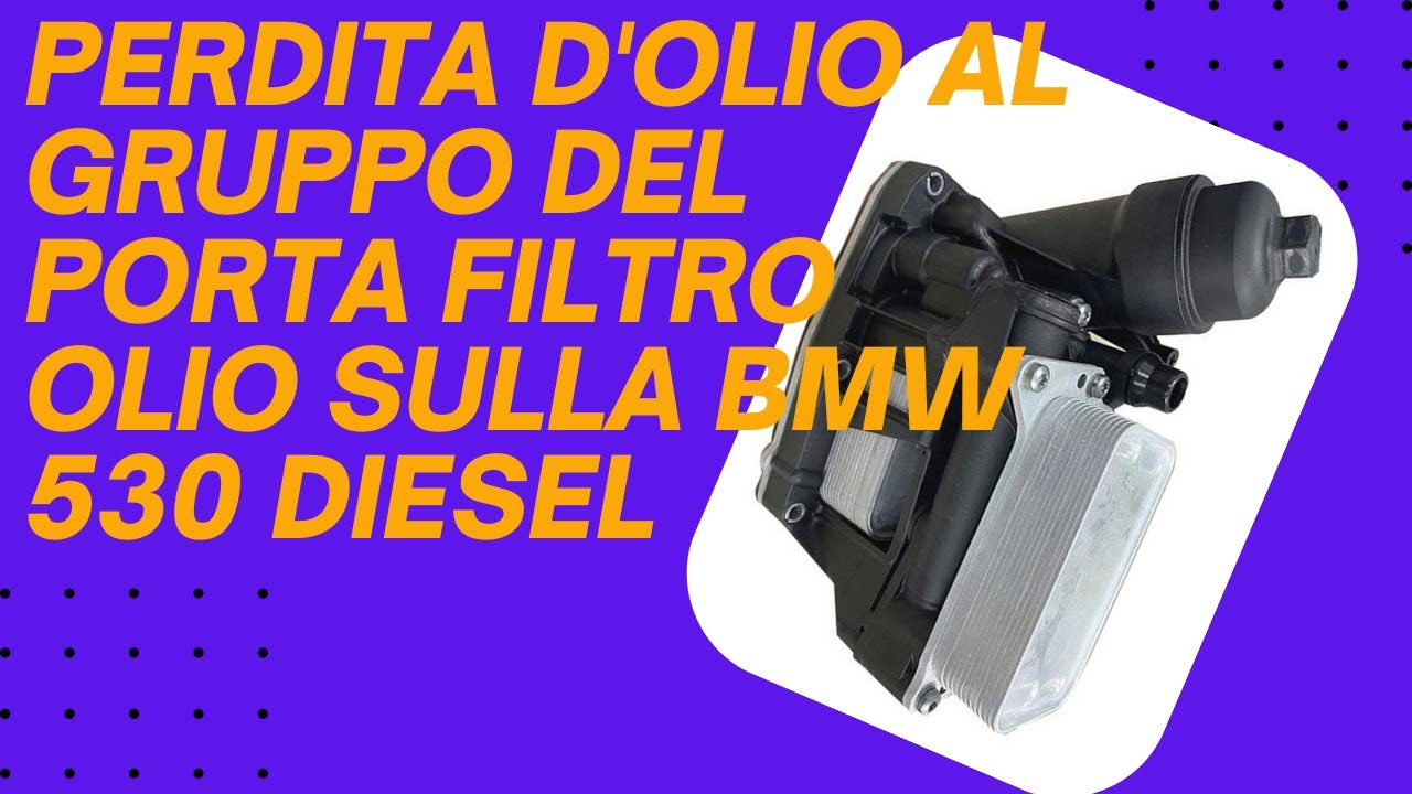 Sostituiamo il porta filtro olio motore alla BMW 530 diesel anno 2014   @Dominik Automotive