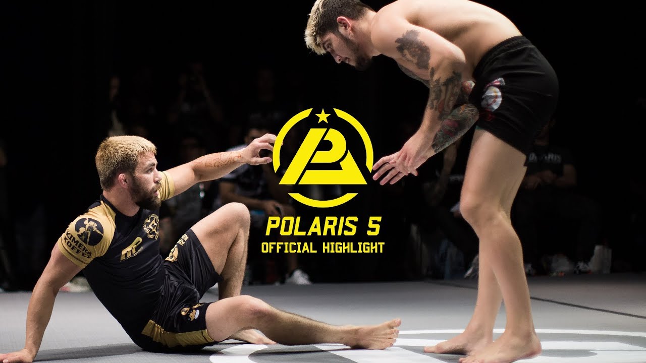 Polaris 5 - Официальный обзор