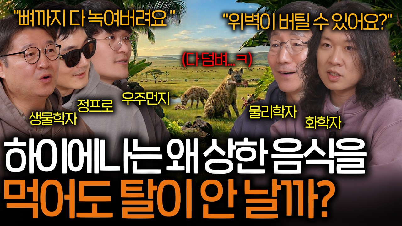 뼈를 통째로 삼켜도 멀쩡한 하이에나의 위장은 얼마나 강력한 걸까? (세균조차 녹이는...) | 과학을 보다 EP.176