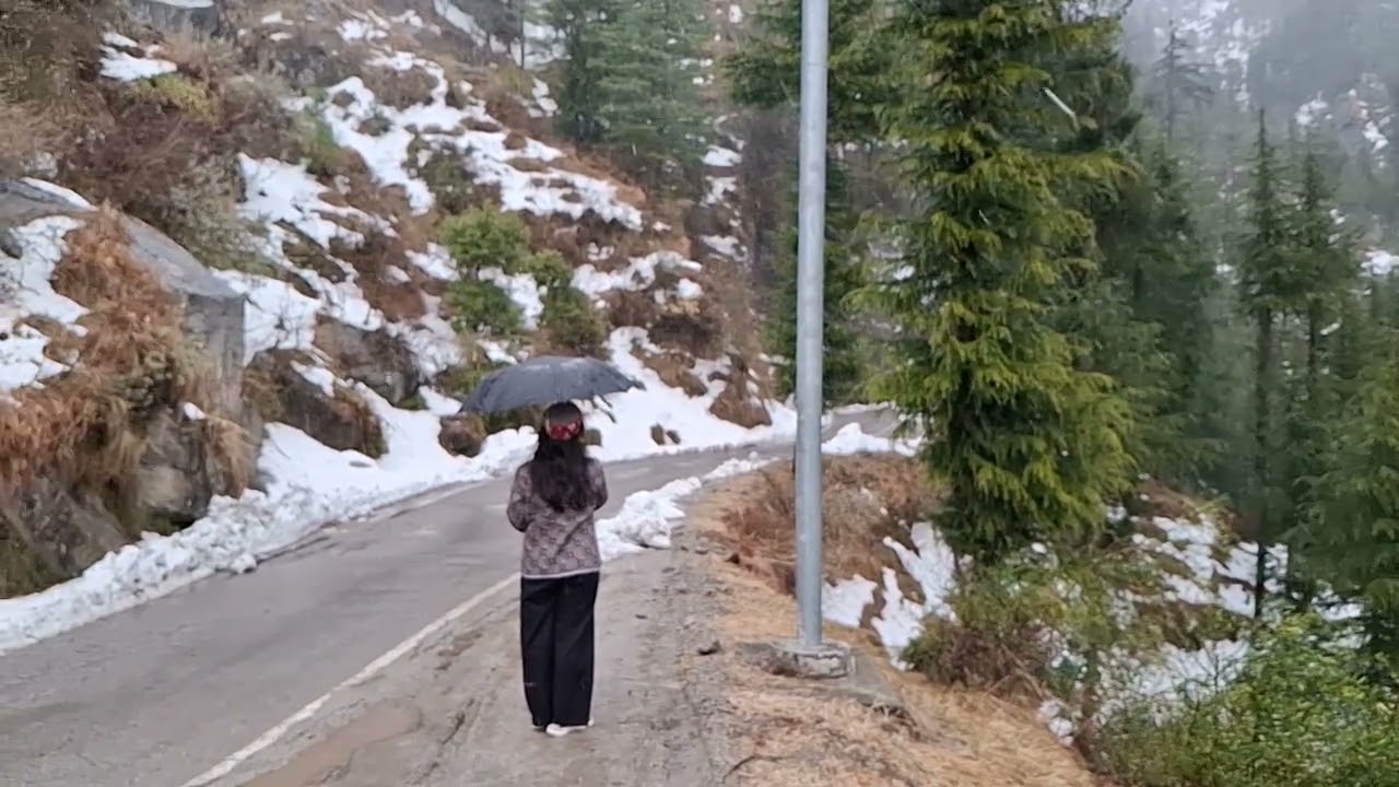 Live snow fall.. No crowd.. No traffic 😄
