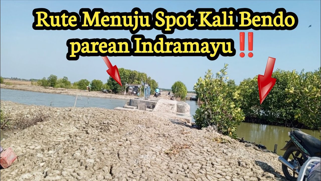 Rute spot kali bendo parean indramayu||Mancing Belanak Babon