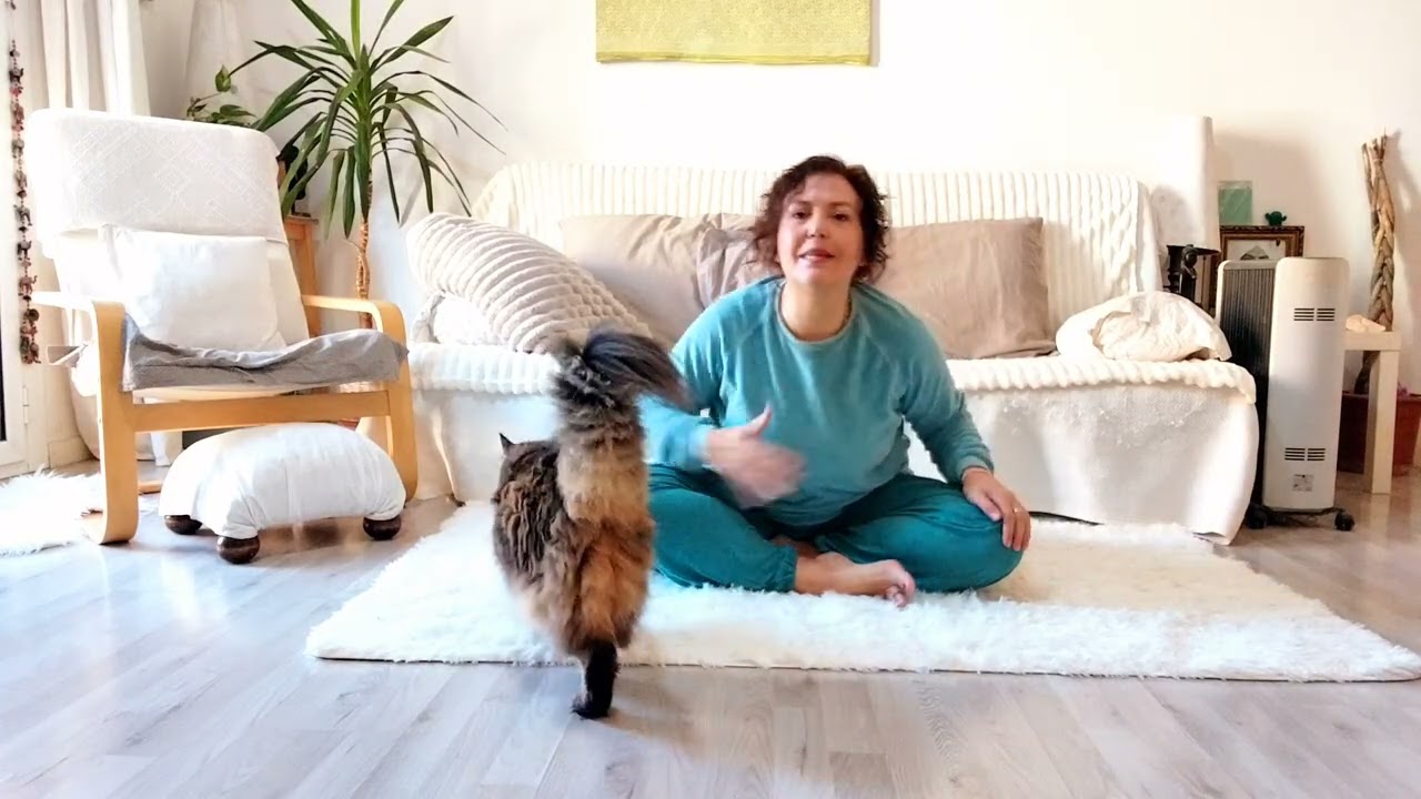 Clase para Eclipse Solar anular, centrarse y respirar 🧘‍♂️🐬🧘‍♀️