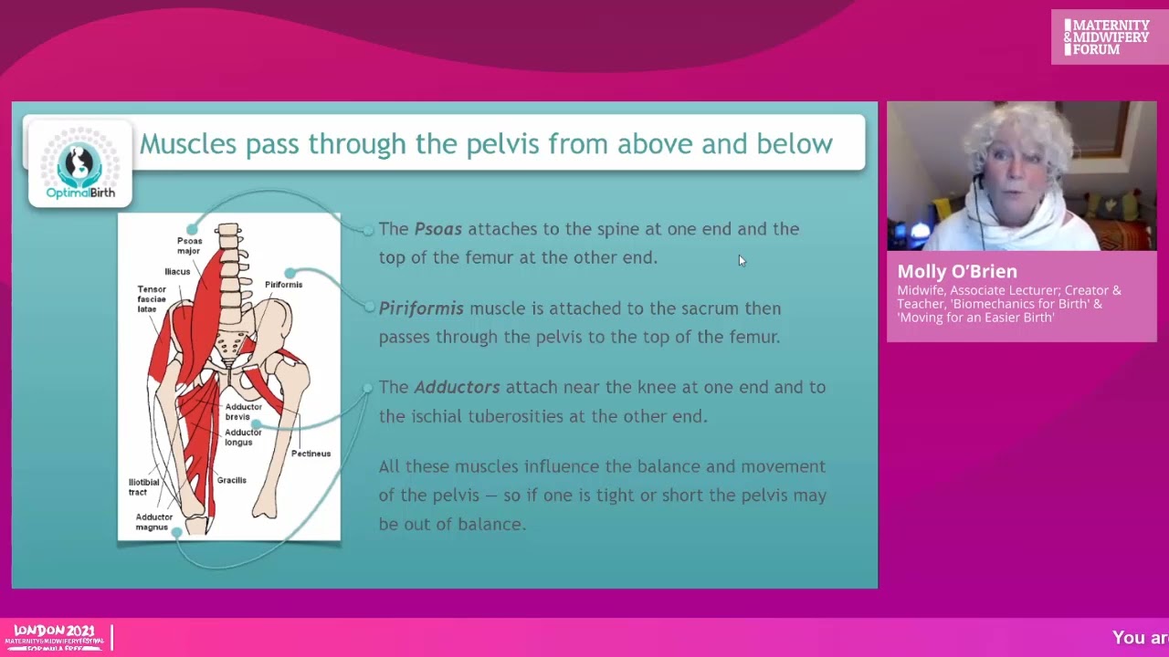 Molly O'Brien -  Love That Birth Physiology
