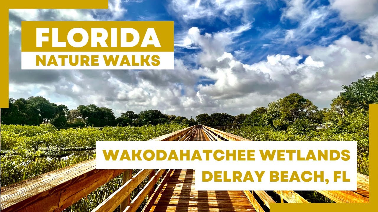Nature Walk 4k: Wakodahatchee Wetlands - Delray Beach, FL