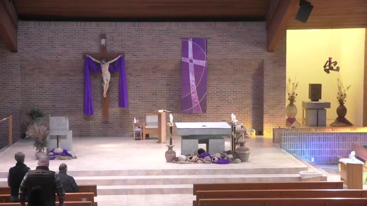 Live Stream
