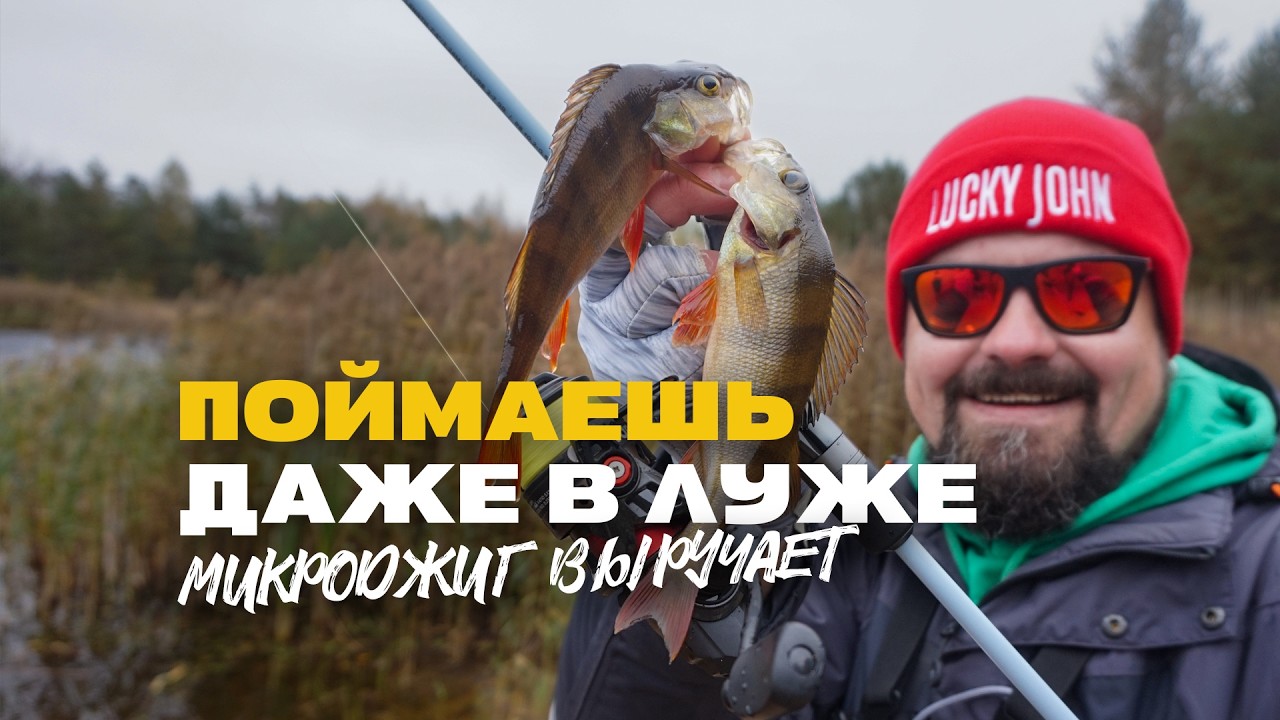 Микроджиг Выручает Ловля Окуня на УЛ Спиннинг Осенью в Луже