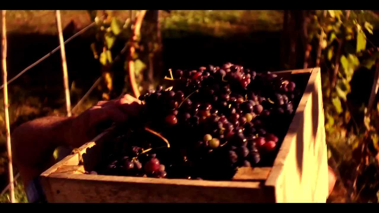 VI&Ntilde;ATEROS - cap&iacute;tulo 1 - OLVIDADOS DEL RIO - Cooperativa PANORAMA / Sub Ingles - Italiano