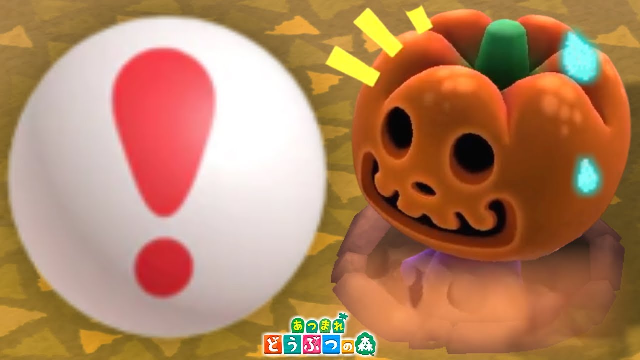 【あつ森】パンプキングを落とし穴にはめたら怒られるのか検証した結果ww【ハロウィン】【あつまれどうぶつの森】