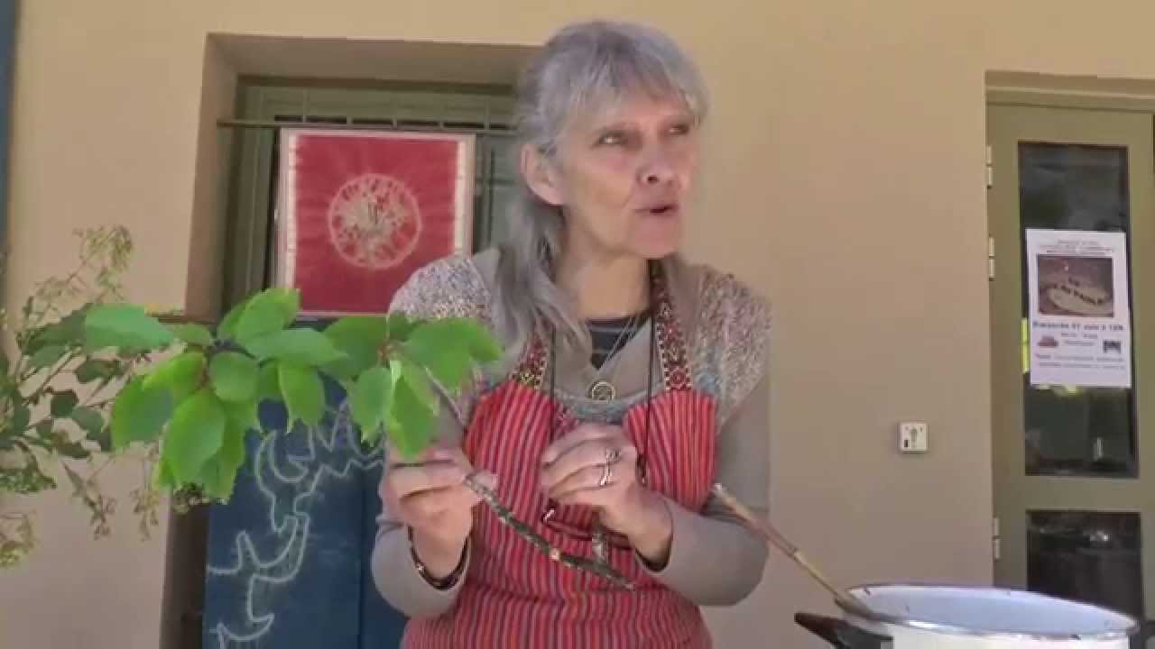 Atelier Teinture Végétale Moriez foire aux plants