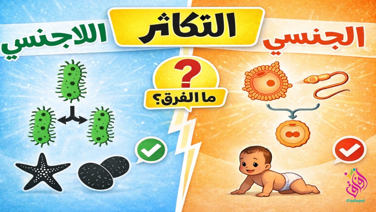 التكاثر | التكاثر الجنسي | التكاثر اللاجنسي | كيف تتكاثر الكائنات الحية المختلفة ؟