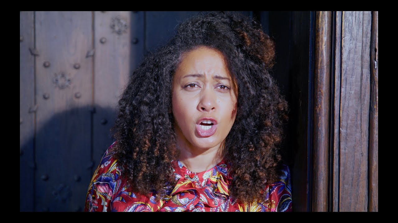 The Lady Doth Protest Too Much (Official Music Video) ft. Melanie Forgeron & Mikhail Veselov
