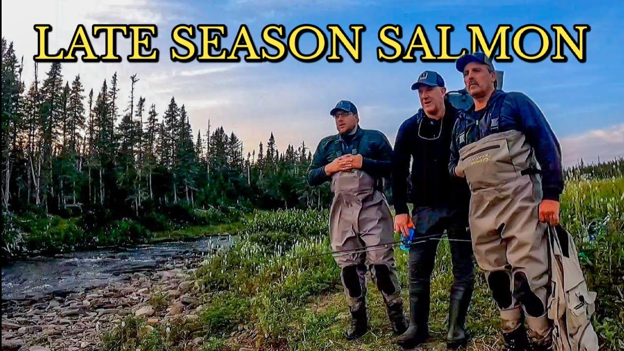 Overnight Salmon Fishing Adventure! (Big Brook Trout & Tagged Salmon) & New Onewind Gear!